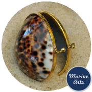 8316 - Polished Shell Purse - Cowrie